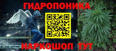 молекула духа Северобайкальск