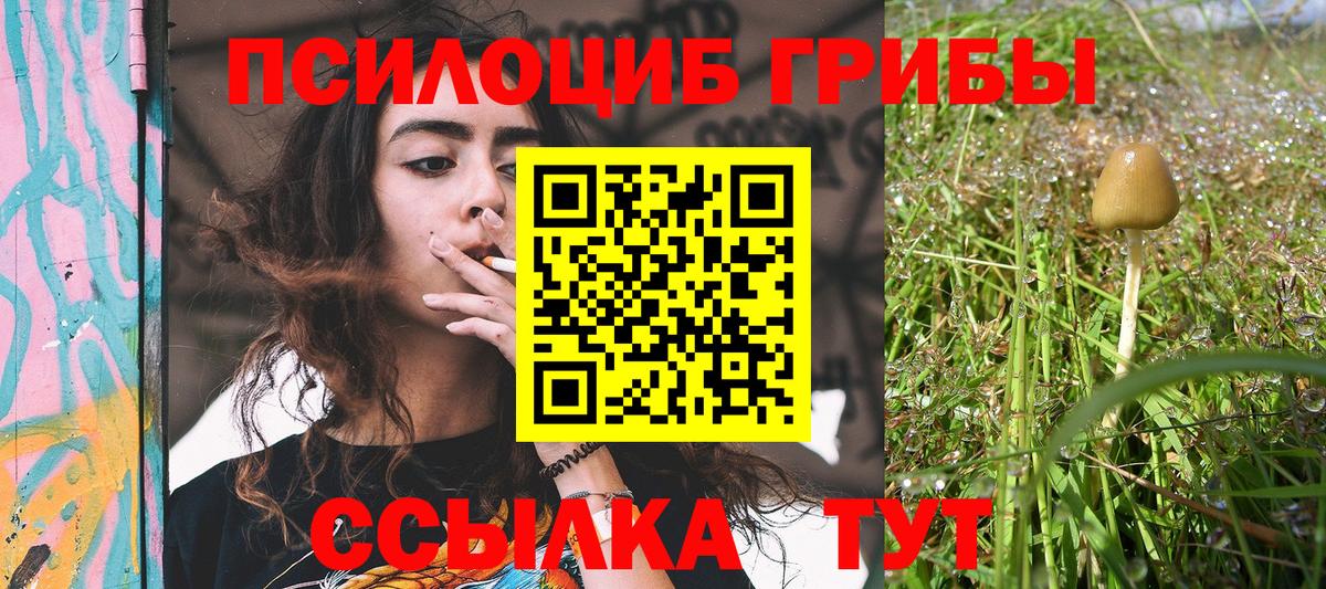 Галлюциногенные грибы MAGIC MUSHROOMS  Вход с VPN  где купить наркоту  Советский  Галлюциногенные грибы прущие грибы 